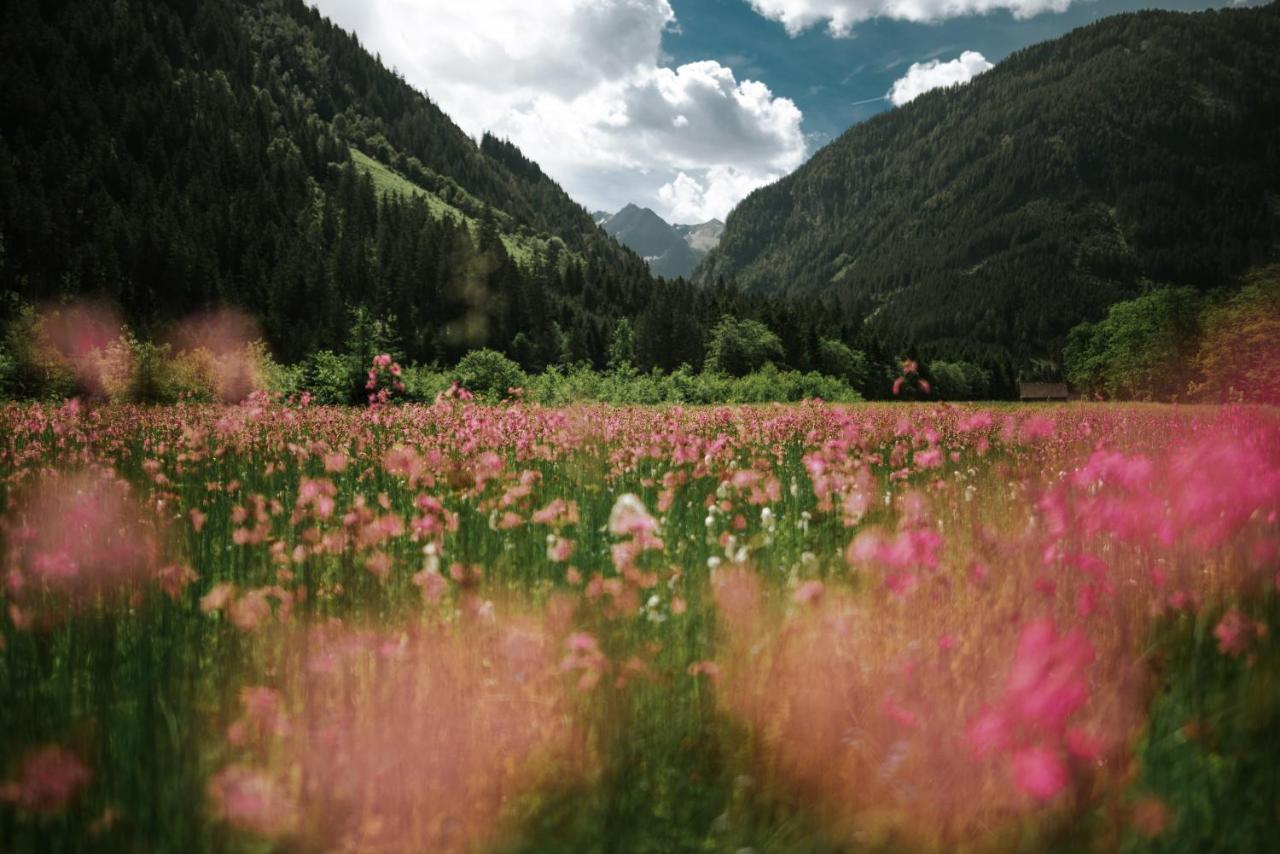 Haus Landart Appartement Schladming Buitenkant foto