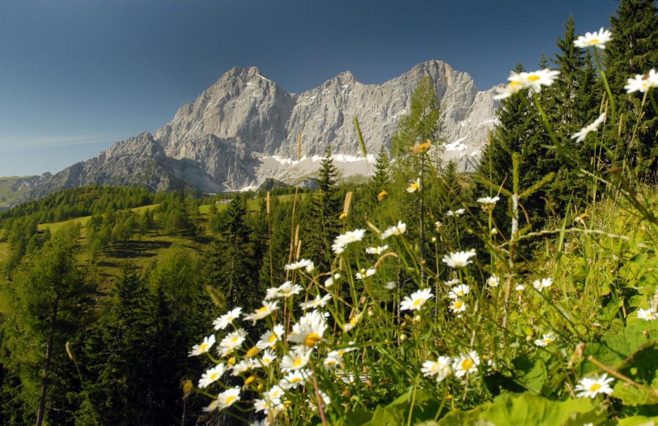 Haus Landart Appartement Schladming Buitenkant foto